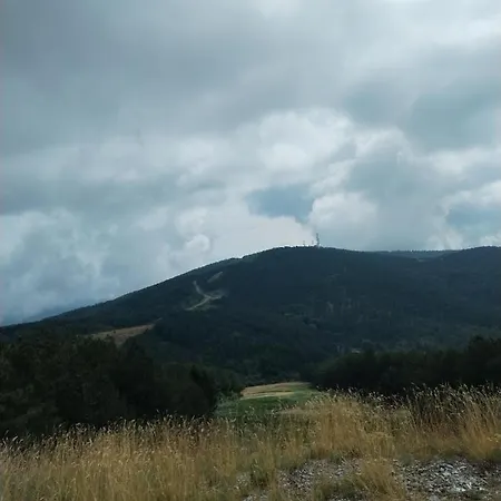 Apartment Planina *