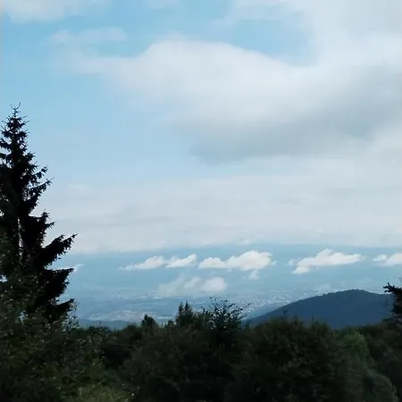 Planina *